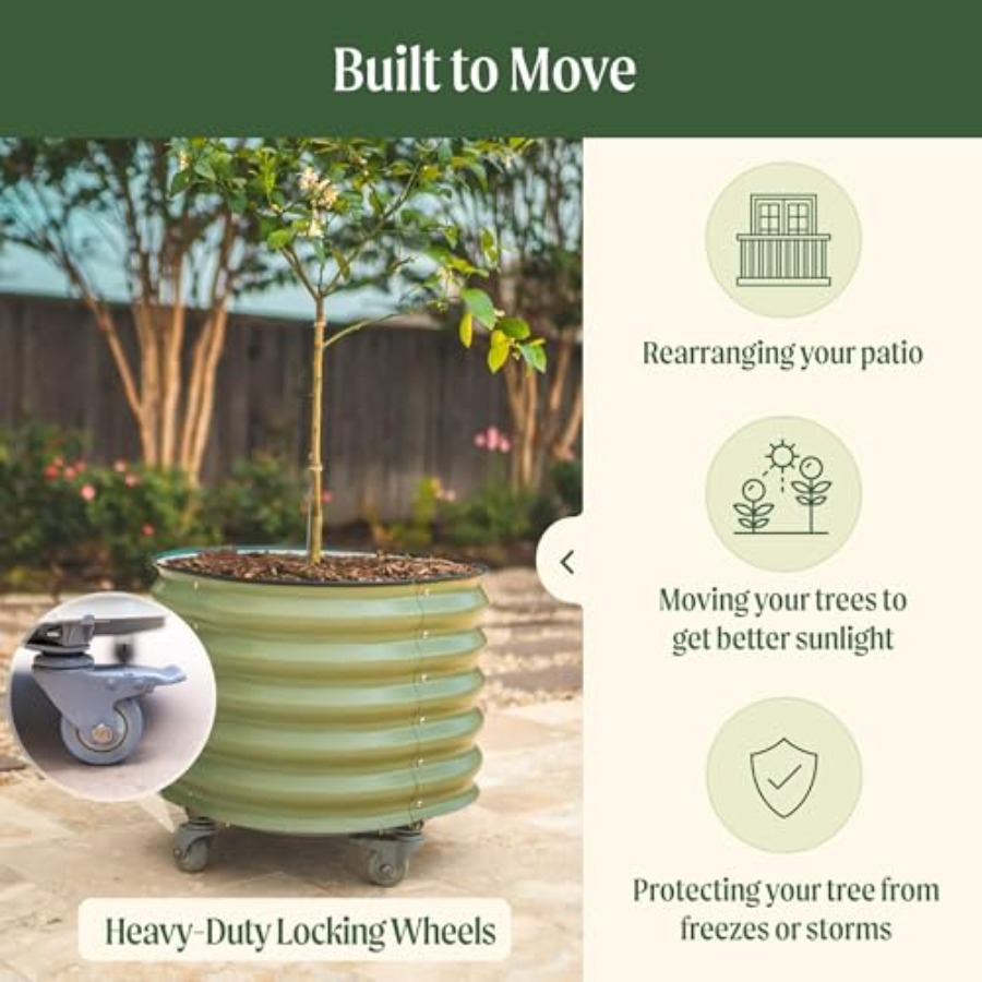 Self-Watering Rolling Metal Ci – Aloe Vera Pot recenzja i cena