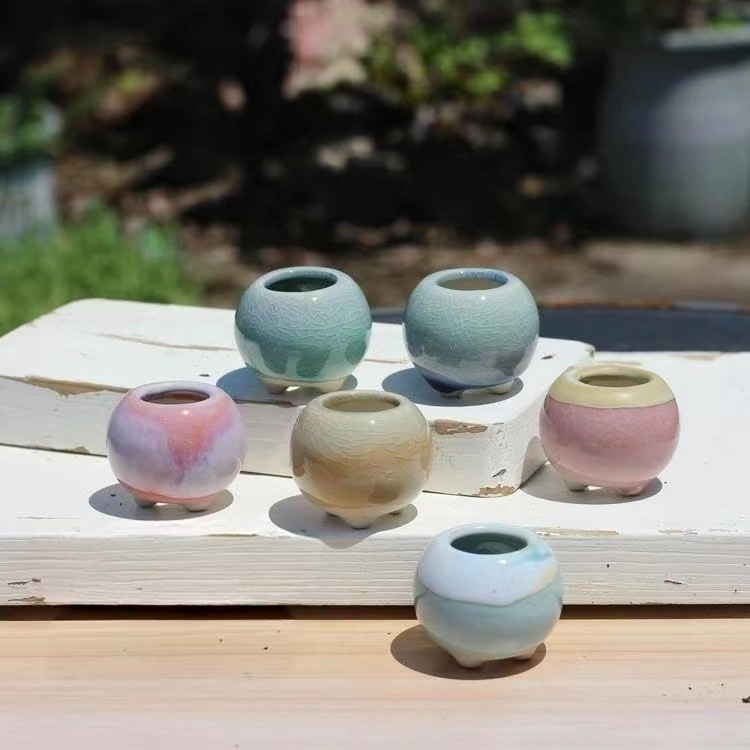 6Pcs Mini Flowerpot Succulents – Echeveria Succulent recenzja i cena