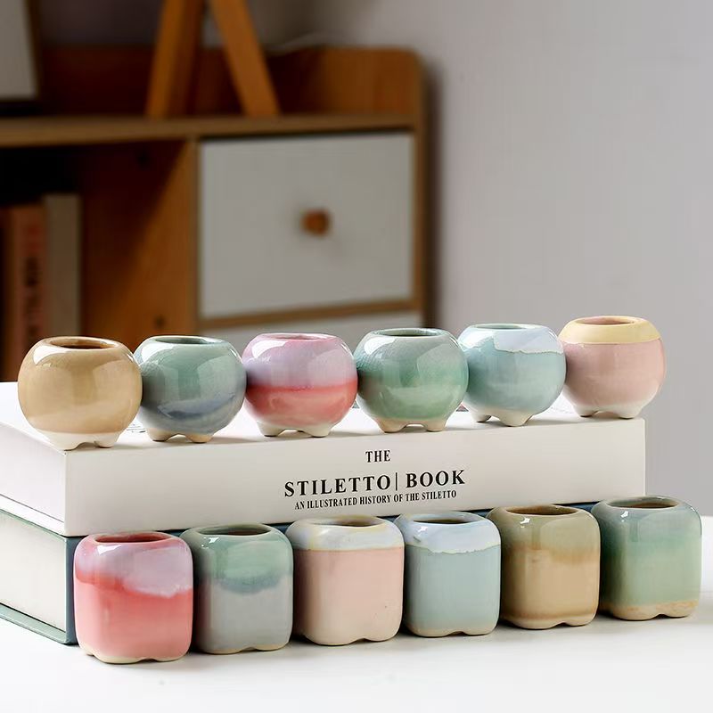 6Pcs Mini Flowerpot Succulents – Echeveria Succulent recenzja i cena