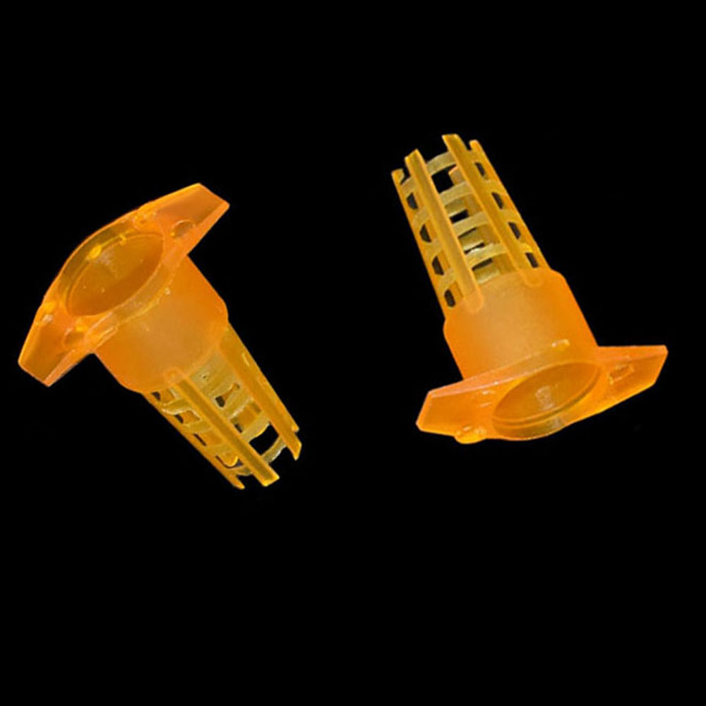 20 pcs Plastic Bee Queen Cage  – Begonia Rex recenzja i cena