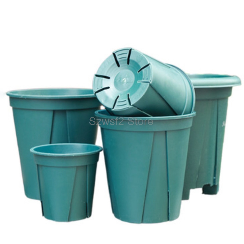 5/10pcs Green Plastic Plant Fl – Aloe Vera Pot recenzja i cena