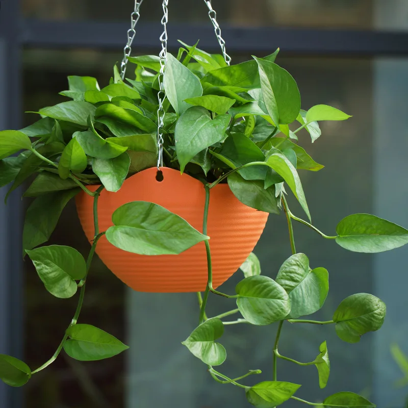 Plastic hanging basket flower  – Spider Plant Hanging recenzja i cena